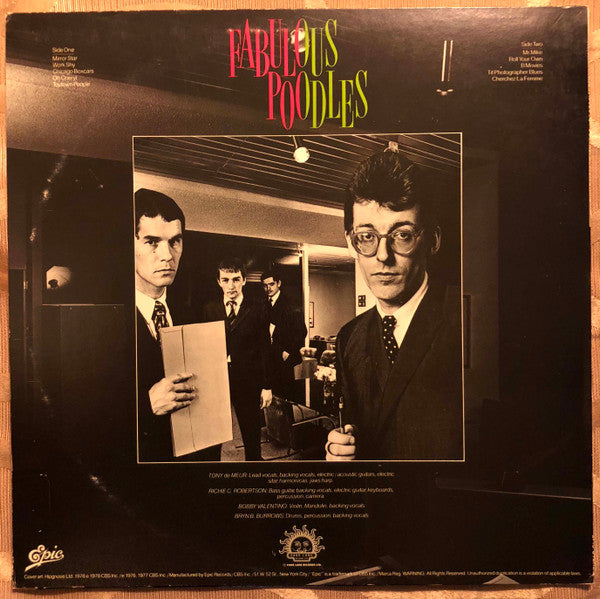 The Fabulous Poodles* : Mirror Stars (LP, Comp, Ter)