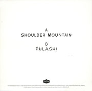 Andrew Bird : Shoulder Mountain (7", Ltd, Red)