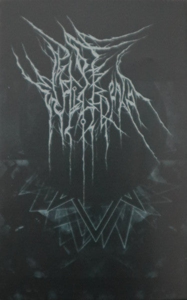 Pestilength : Demo MMXIX (Cass, Ltd)