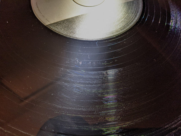 ZHU, PartyWithRay : Came For The Low (12", S/Sided, Etch)