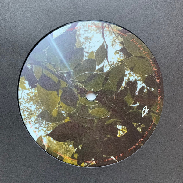 Amigo The Devil : Everything Is Fine (LP, Album)