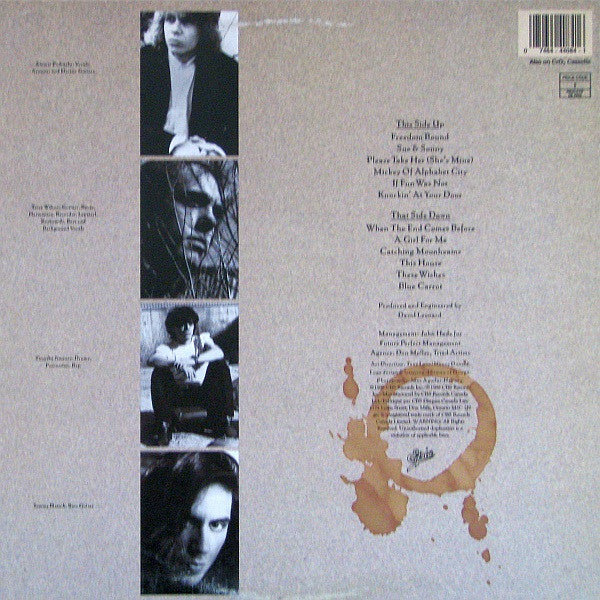 The Rave-Ups : The Book Of Your Regrets (LP, Album)