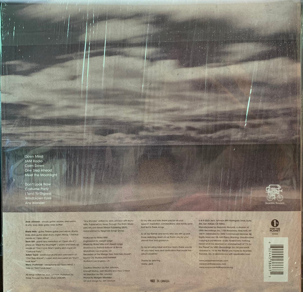 Jack Johnson : Meet The Moonlight (LP, Album)