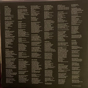 Jack Johnson : Meet The Moonlight (LP, Album)