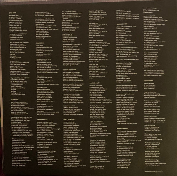 Jack Johnson : Meet The Moonlight (LP, Album)