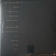 Tracy Chapman : Tracy Chapman (LP, Album, RE, Ora)