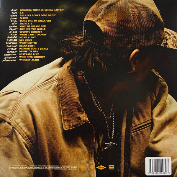 Tucker Wetmore : What Not To (2xLP, Album, Ltd, Bro)