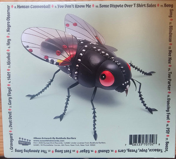 Butthole Surfers : Live At The Leather Fly (CD, Album)