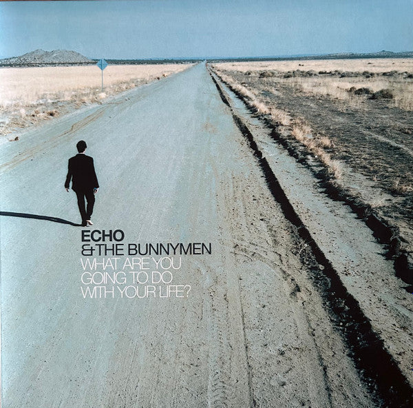 Echo & The Bunnymen : What Are You Going To Do With Your Life? (LP, Album, Ltd, RE, RM, Tur)