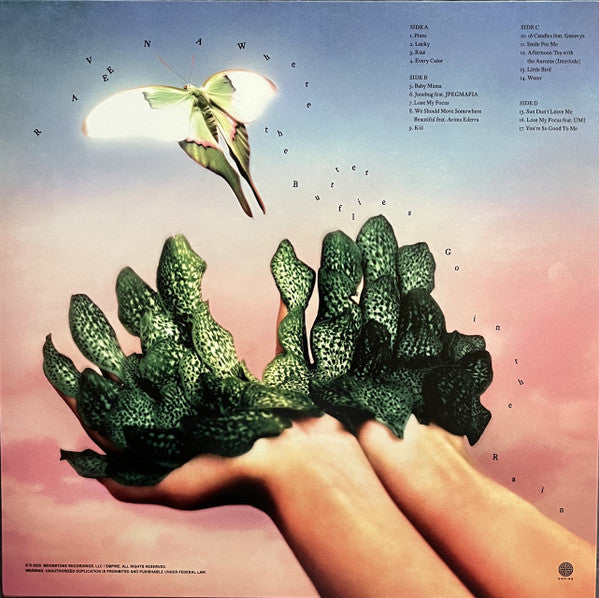 Raveena (2) : Where Where the Butterflies Go in the Rain (Deluxe) (2xLP, Album, Cle)