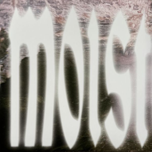 Wet Leg : Moisturizer (LP, Album, Ltd, Cle)