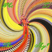 David Byrne With Ghost Train Orchestra : Who Is The Sky? (LP, Album)