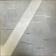 Jeff Tweedy : Twilight Override (3xLP, Album, New + Box)