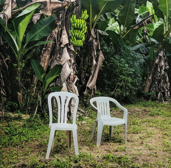 Buy Bad Bunny : Debí Tirar Más Fotos (2xLP, Album, RE, Whi) Online