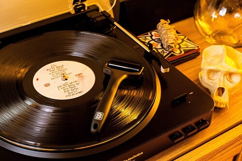 Big Fudge BFPAL101US Record Pal Vinyl LP Silicone Cleaning Roller Black