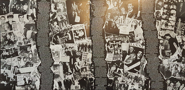 Various : Burning Ambitions: A History Of Punk (2xLP, Comp)