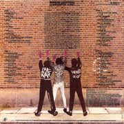 Various : Burning Ambitions: A History Of Punk (2xLP, Comp)