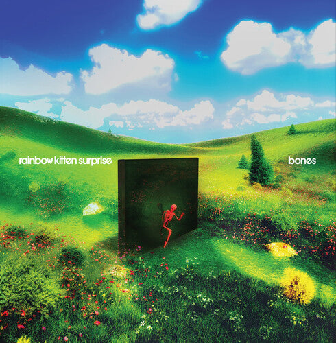 Rainbow Kitten Surprise - Bones (Mint (M)) Rock (CD, Album)