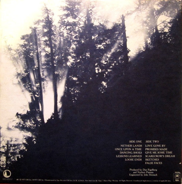Dan Fogelberg : Nether Lands (LP, Album, Ter)