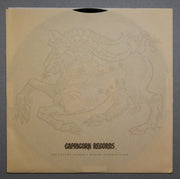 Dixie Dregs : What If (LP, Album, Ter)