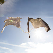 Sorority Noise : YNAAYT (LP, Album, Lig)