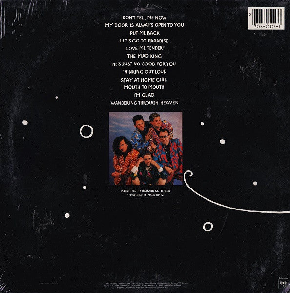 Mental As Anything : Mouth To Mouth (LP, Album)