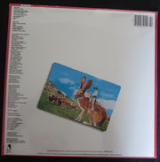 Steve Forbert : Jackrabbit Slim (LP, Album, RE)