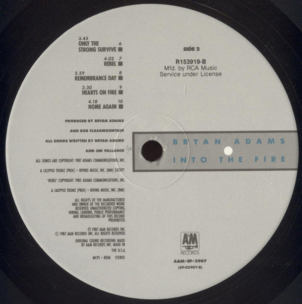 Bryan Adams : Into The Fire (LP, Album, Club)