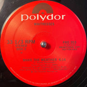 Waitresses* : Bruiseology / Make The Weather (12", Promo)