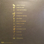 The Kills : Ash & Ice (2xLP, Album)