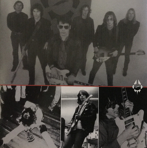 Radio Birdman : The Essential Radio Birdman (1974 - 1978) (CD, Comp)