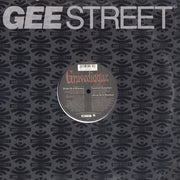 Gravediggaz : Diary Of A Madman / Constant Elevation (12", Single)