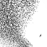 the album cover for Wilco - Sky Blue Sky