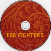 Foo Fighters : Skin And Bones (CD, Album)