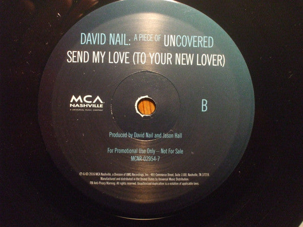 David Nail : In The Ghetto (7", Single, Promo)