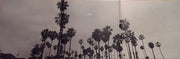 Evidence (2) : Weather Or Not (2xLP, Album, Ltd, Blu)