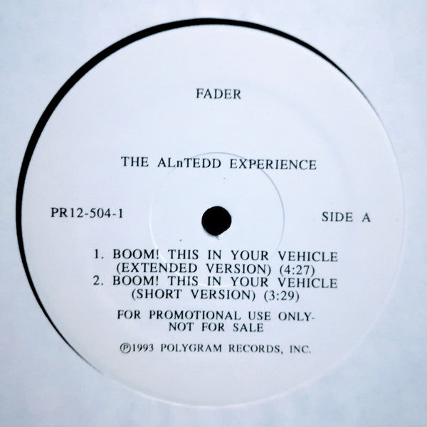 The ALnTedd Experience : Boom! This In Your Vehicle (12", Promo)