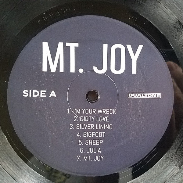 Mt. Joy : Mt. Joy (LP, Album)