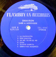 Damiron : Sabe A Merengue (LP, Album)
