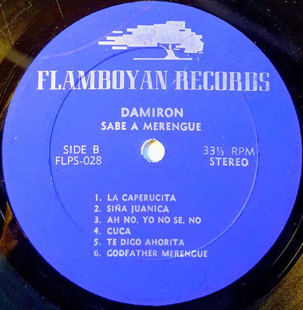 Damiron : Sabe A Merengue (LP, Album)