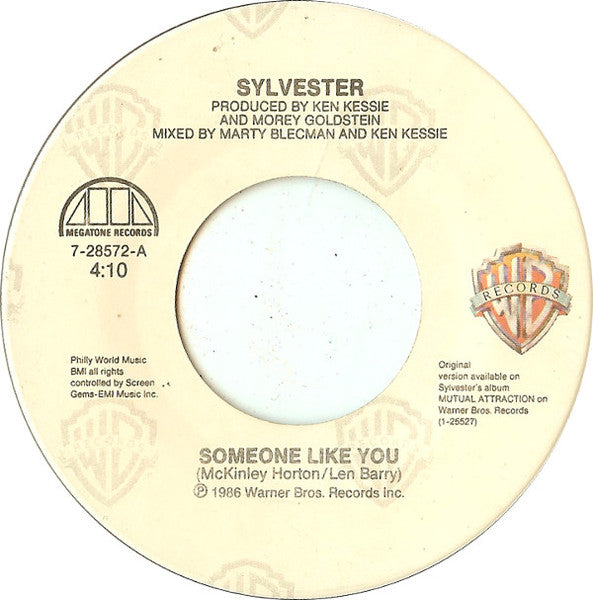 Sylvester : Someone Like You (7")