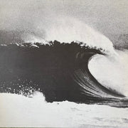 The Beach Boys : High Water (2xLP, Comp, RE)