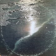 The Beach Boys : High Water (2xLP, Comp, RE)