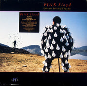 Pink Floyd : Delicate Sound Of Thunder (2xLP, Album, G -)