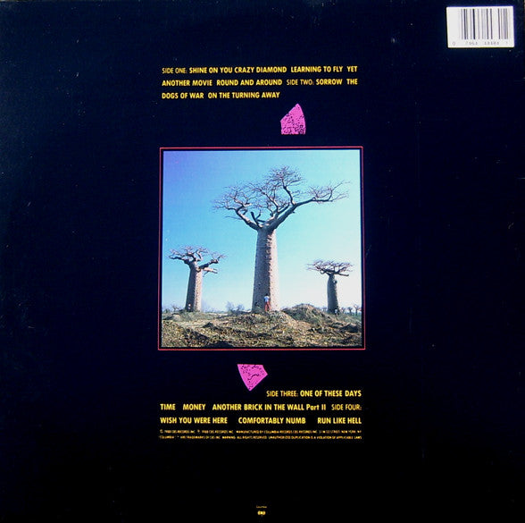 Pink Floyd : Delicate Sound Of Thunder (2xLP, Album, G -)