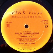 Pink Floyd : Delicate Sound Of Thunder (2xLP, Album, G -)