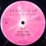 Pink Floyd : Delicate Sound Of Thunder (2xLP, Album, G -)