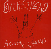 the album cover for Buckethead - Acoustic Shards