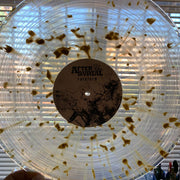 After The Burial : Rareform (LP, Album, Ltd, RE, Cle)