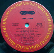 Journey : Evolution (LP, Album, Pit)